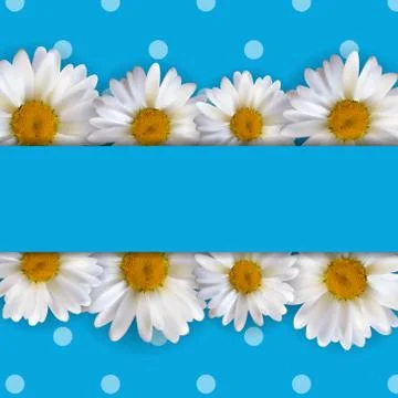 Abstract Chamomile Flowers Natural Spring and Summer Background イラスト素材