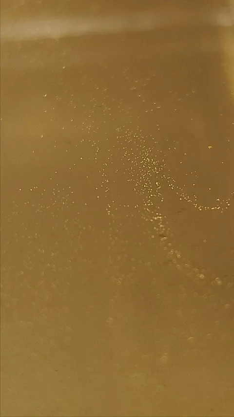 Abstract champagne bubbles background 動画素材 294760710