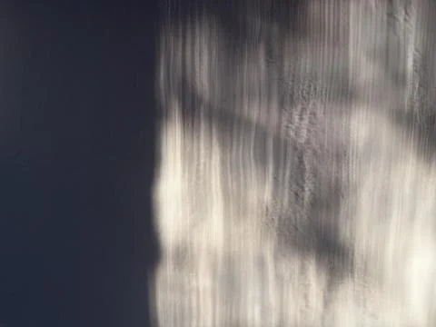 Abstract chiaroscuro shadow of branches cast on a textured gray concrete wa.. Fotos de archivo