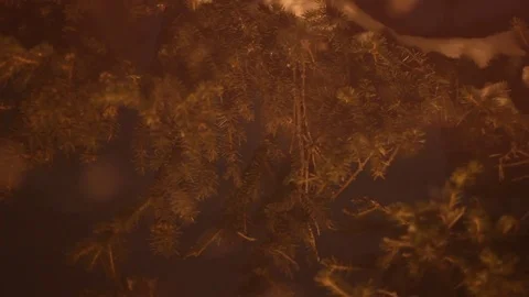Abstract Christmas background with new year tree. Falling snow. Stock Footage 71075250