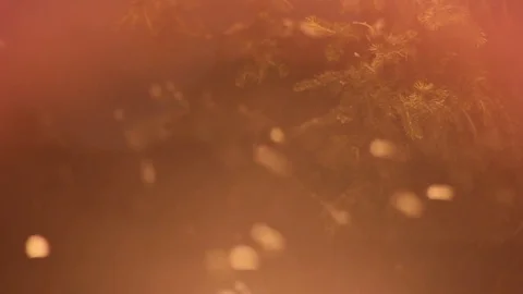 Abstract Christmas background with new year tree. Falling snow. Stock Footage 71075344