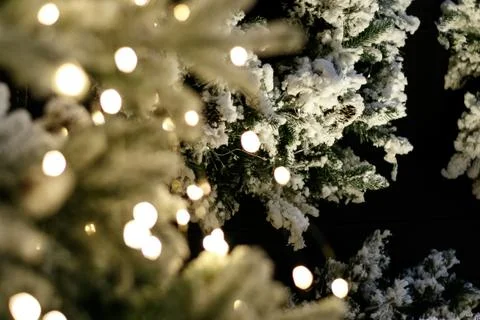 Abstract Christmas background Stock Photos