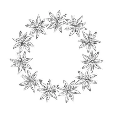 Abstract circle frame of hand drawing star anise with copyspace. Line art Illustrazione stock