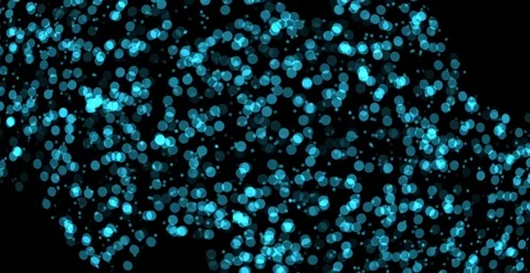 Abstract circle-shaped blue lights bokeh pattern on black background Video stock 124246092