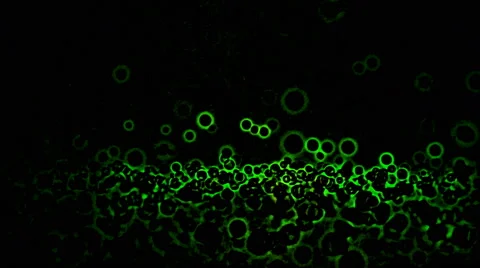 Abstract Circle Shapes Background - Loop Green Stock Footage 58945470