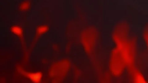 Abstract Circles Background, 4K Stock Footage 319086519