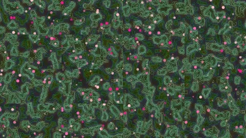 Abstract Circuit Board Pattern with Pink Dots Stock Footage 332255675