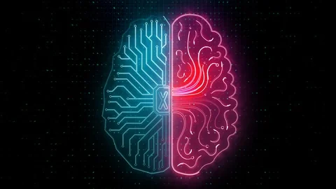 Abstract circuit brain semispheres animation Vidéo 99052994