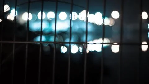 Abstract circular bokeh background with Reflection.Blurred light. Stock Photos