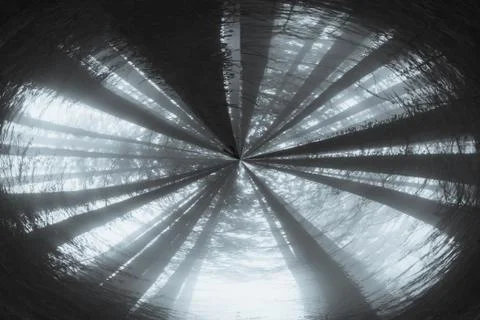 An abstract, circular effect. looking up into the sky of an atmospheric forest Stock Photos