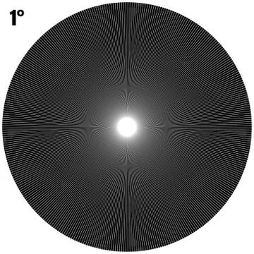 Abstract Circular Geometric Burst Rays On White. EPS 10 vector Illustrazione stock