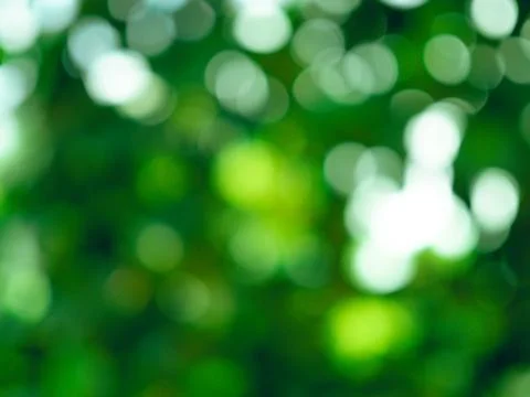 Abstract circular light bokeh background.  Stock Photos