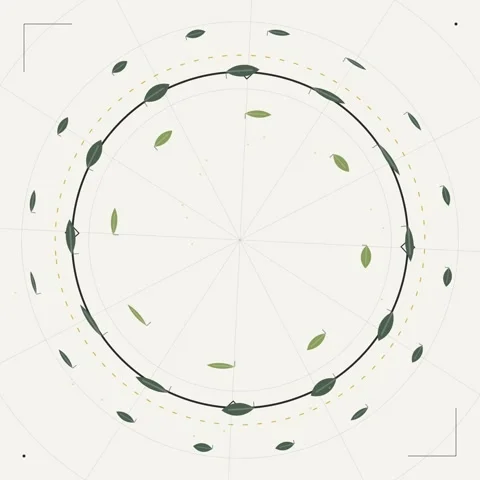 Abstract Circular Pattern of Green Leaves and Geometric Shapes Stock Footage 346284983