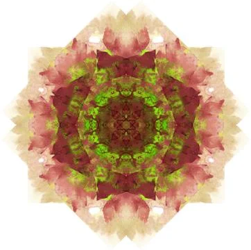 Abstract circular pattern. Mandala. Hand drawing watercolor Stock Illustration