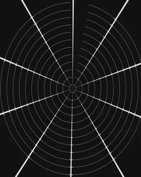 Abstract circular radar grid pattern with white lines on a black background Stock Illustration