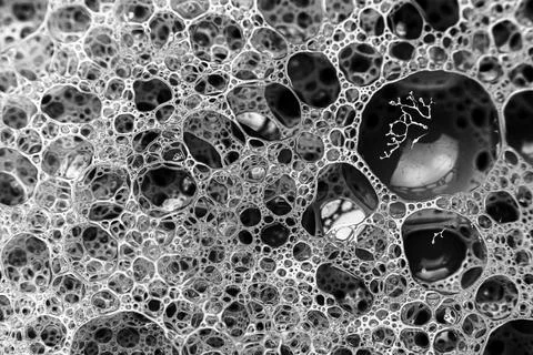 Abstract circular shaped elements as background template 스톡 사진