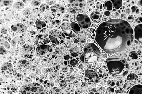 Abstract circular shaped elements as background template Stock Photos