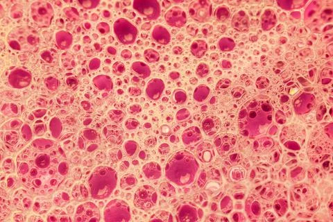 Abstract circular shaped elements as background template Stock Photos