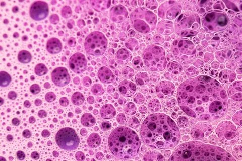 Abstract circular shaped elements as background template Foto stock