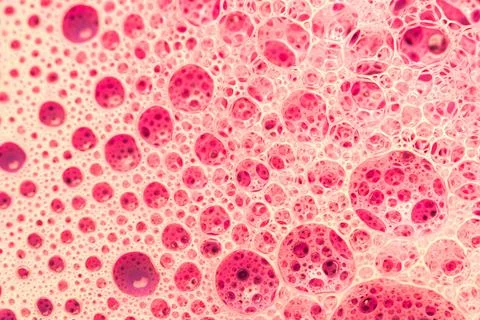 Abstract circular shaped elements as background template Stock Photos