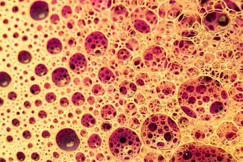 Abstract circular shaped elements as background template Stock Photos