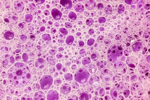 Abstract circular shaped elements as background template Stock Photos