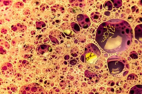 Abstract circular shaped elements as background template Stock Photos