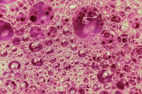 Abstract circular shaped elements as background template Stock Photos