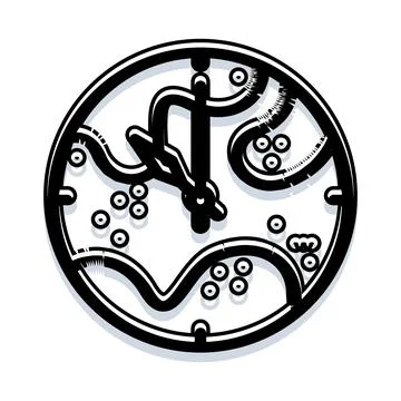Abstract clock face showing cellular biological time Stock Illustration