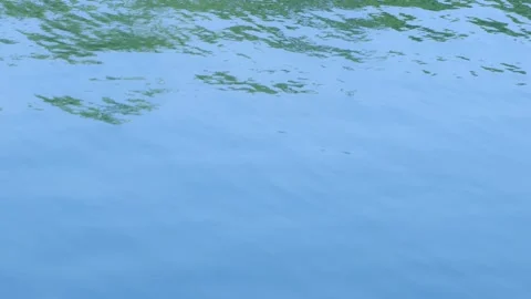 Abstract close-up of blue rippling lake water surface Stock Footage 332293499