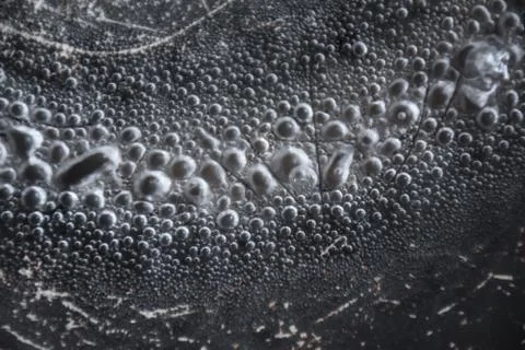 Abstract close up circle air bubble in boiled water , trypophobia concept Stock Photos