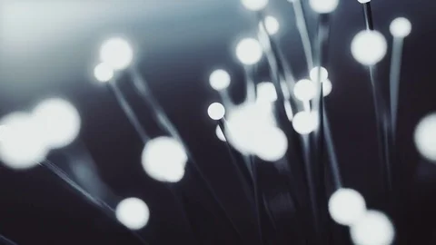 Abstract Close Up Fiber Lights Random Motion, 3d Loopable Animation 4k Video stock 72901339