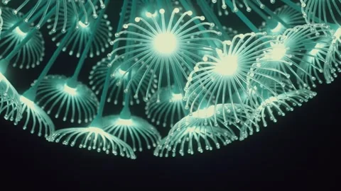 Abstract close-up of glowing, jellyfish-like structures with radiant blue-green Stock Footage 294535813