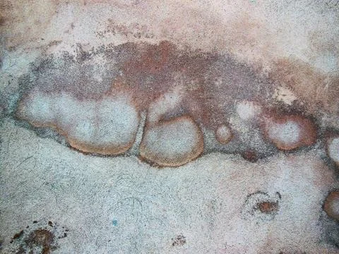 Abstract close up of a house wall. Stock-Fotos