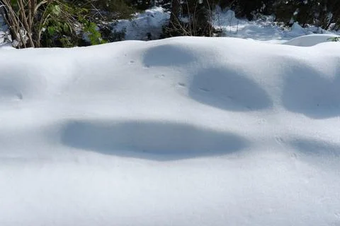 Abstract Close-up of Pristine Snow Surface and Shadows 9910 Stock Photos