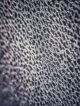 Abstract close up of a textured surface with bubble-like patterns and soft li Stock Photos