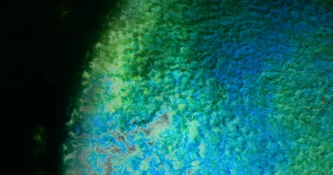 Abstract close-up of textured surface featuring vibrant green and blue hues, Video stock 319791184