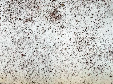 Abstract Close-up of a Textured White Surface Covered with Numerous Irregul.. Stock Photos