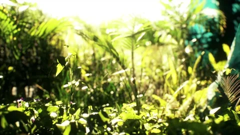 Abstract Close up View Of Plants   Beautiful Natural Background Loop Video stock 196825130