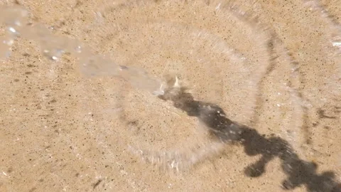 Abstract close-up of a water jet hitting a sunlit concrete surface, creating Stock Footage 313057341