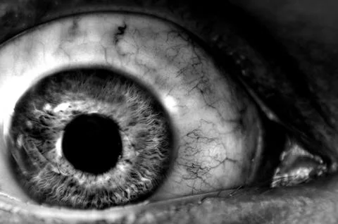 Abstract closeup of a dark eyeball wide open. Stock Photos