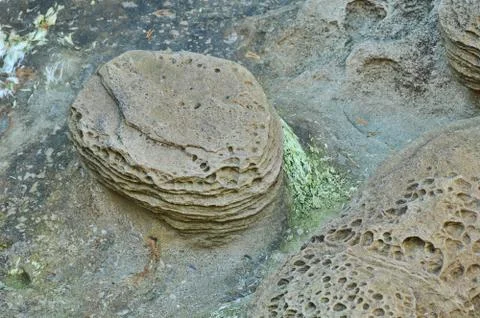 Abstract closeup of eroded texture on the beach Stock Photos