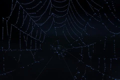 An abstract closeup view on a spiderweb Stock Photos