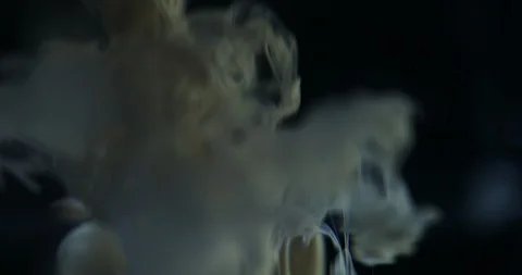 Abstract Cloud and Smoke Background Vidéo 104572899