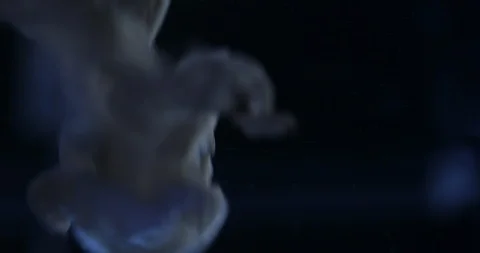 Abstract Cloud and Smoke Background Vidéo 104573723