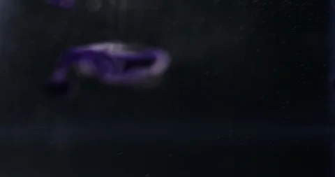 Abstract Cloud and Smoke Background Vidéo 104575040