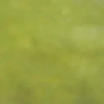 Abstract cloudy green pattern background Stock Illustration