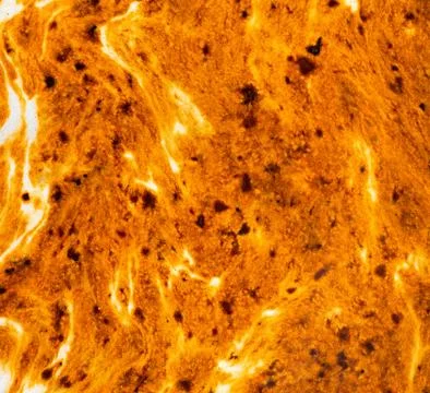 Abstract coffee brewing texture Stock Photos