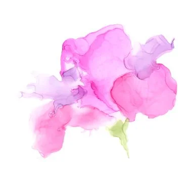 Abstract color alcohol ink flowers isolated on white background . Stock Illustration