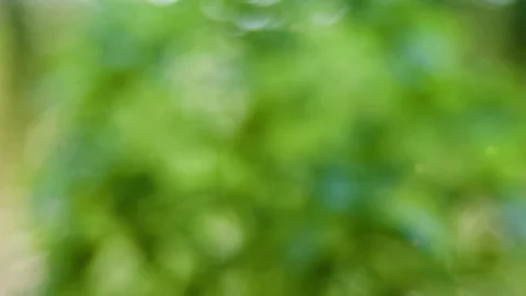 Abstract color background with bokeh motion Stock Footage 109188600